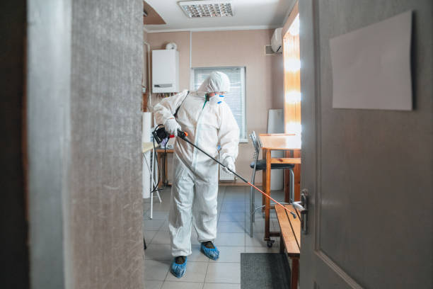 Best Forensic Mold Investigation  in Rensselaer, IN