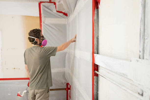 Best Environmental Consulting for Mold Prevention  in Rensselaer, IN