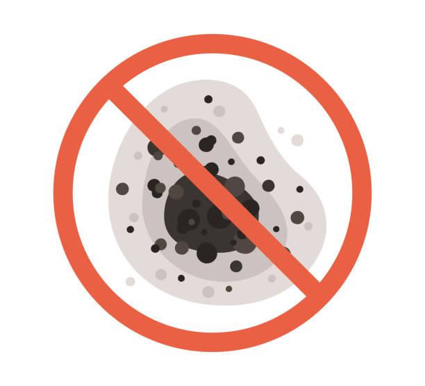 Best Emergency Mold Remediation  in Rensselaer, IN