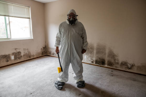 Mold Remediation for Rental Properties in Rensselaer, IN